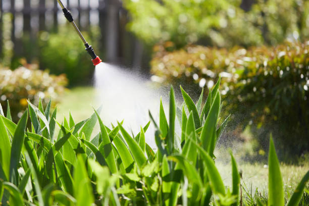 24/7 Emergency Fumigation Services experts in Sylvester, GA