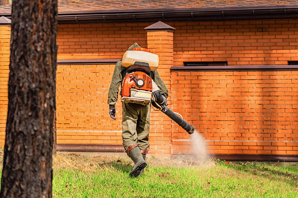 Trusted Ant Control service in Sylvester, GA - Nex Pest Control